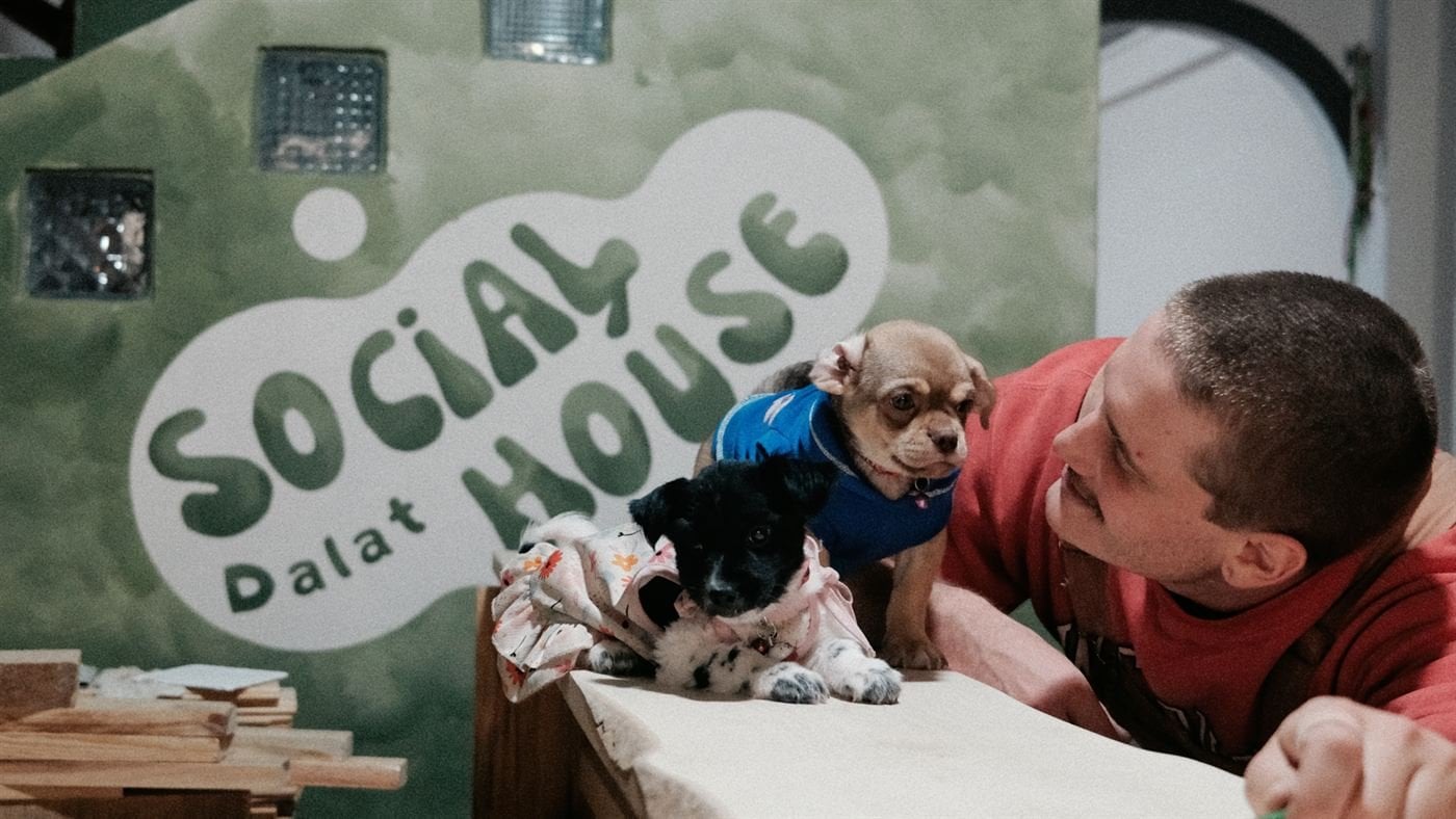 Puppies at the logo wall – Socialhouse Dalat