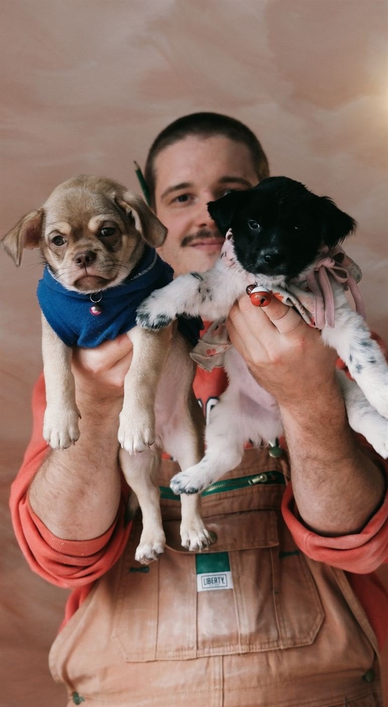 Two puppies – Socialhouse Dalat