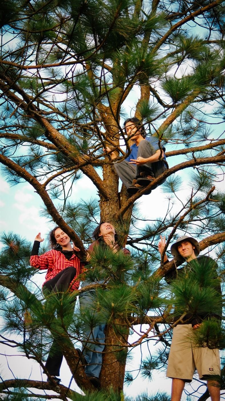 Climbing pine trees – Socialhouse Dalat